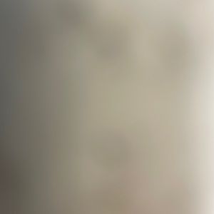 Frye Turquoise Azalea Logo Leather Thong Sandals